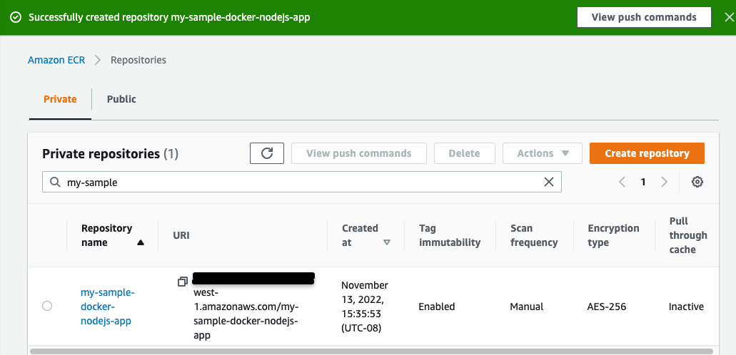 View created ECR Repository