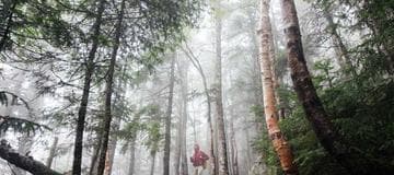 How to Fix 502 and 503 Gateway Errors on AWS EC2 with an Application Load Balancer