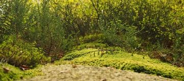 How to Support IE9 Input Placeholder for Angular.js