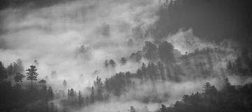 Start Angular2 - Resources